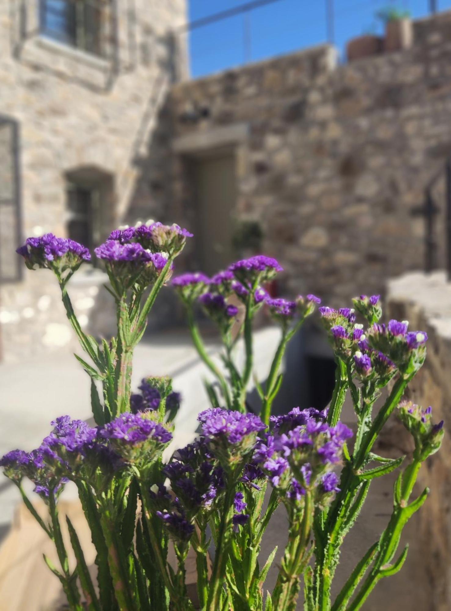 Pyrgi Cretan Living & Spa Pirgos  Екстер'єр фото